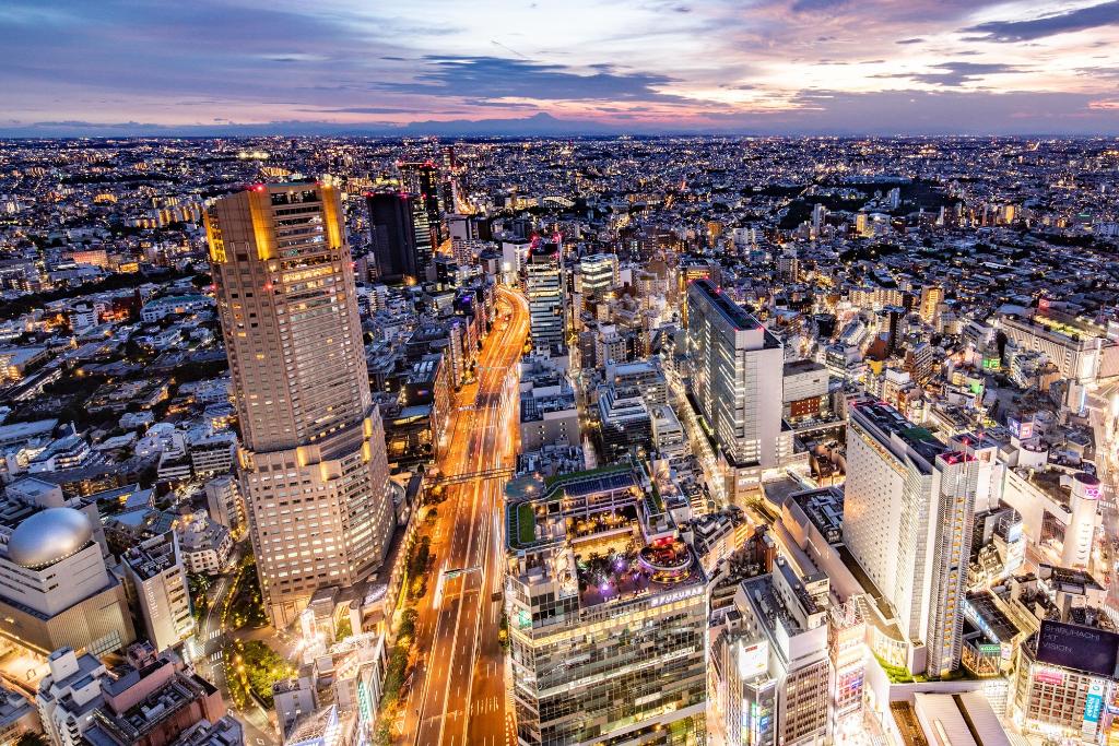 세룰리언 타워 도큐 호텔 이미지 1